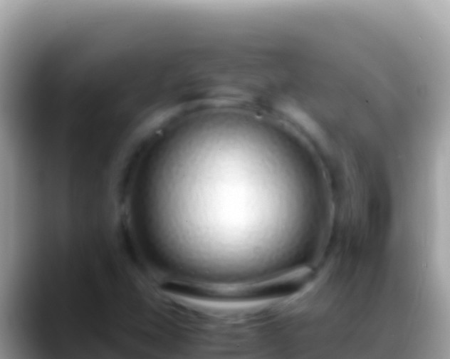 X0000088661407200706011231