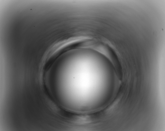 X0000088661410200706011231