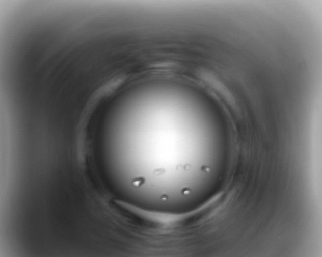 X0000088661411200706011231