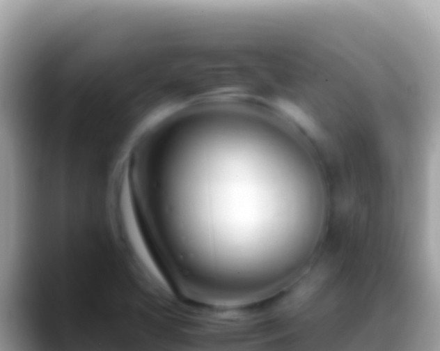 X0000088661413200706011231