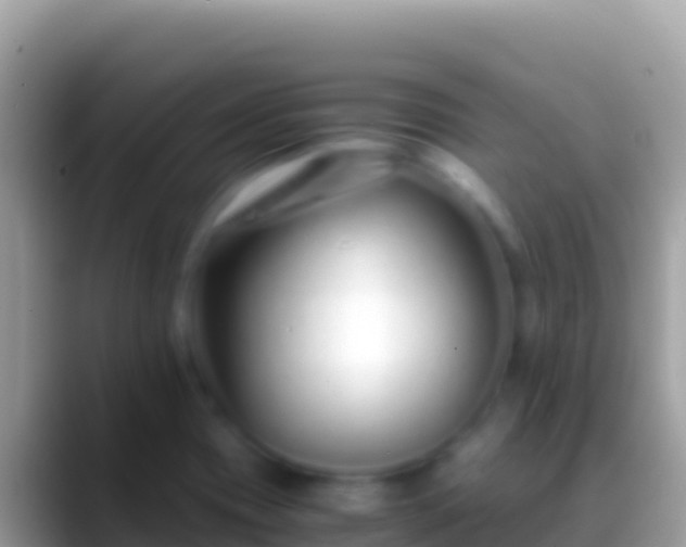 X0000088661417200706011231