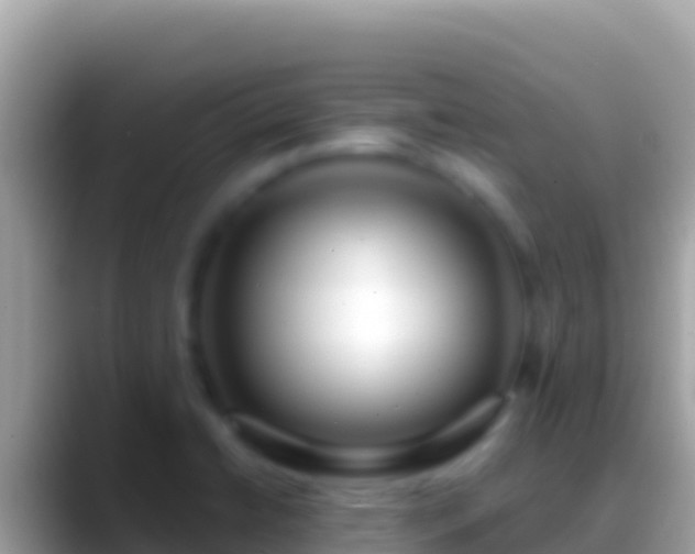 X0000088661422200706011231