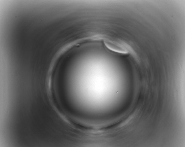 X0000088661424200706011231