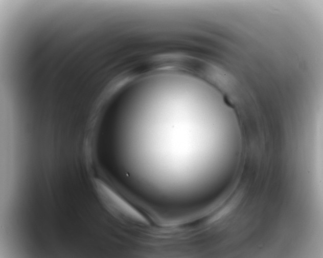 X0000088661425200706011231