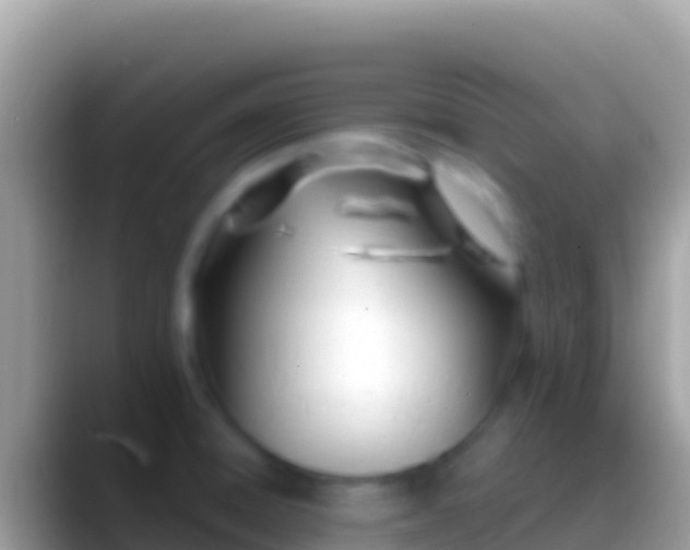 X0000088661428200706011231