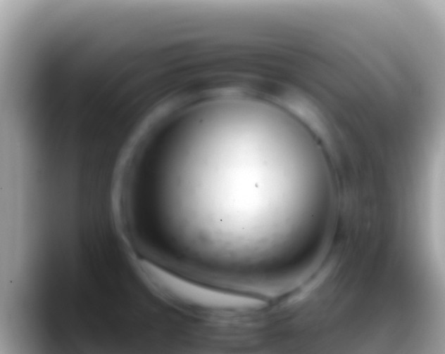 X0000088661429200706011231