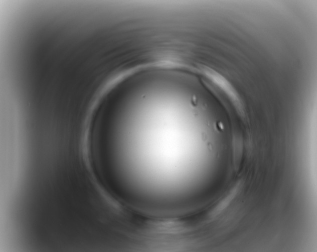 X0000088661432200706011232