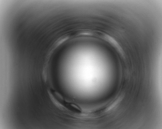 X0000088661433200706011232