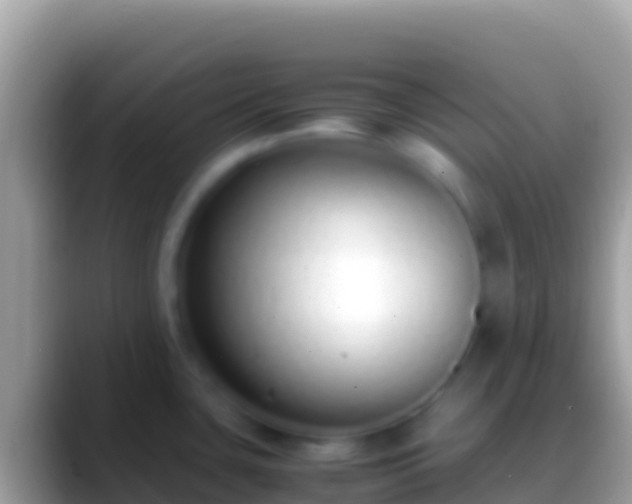 X0000088661435200706011232