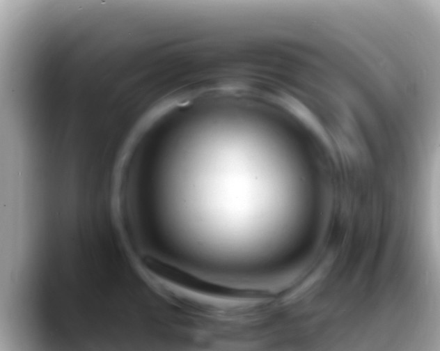 X0000088661437200706011232