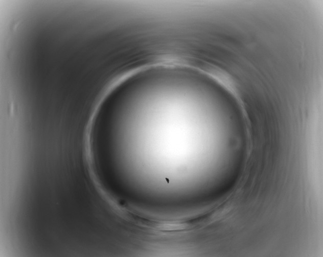 X0000088661440200706011232