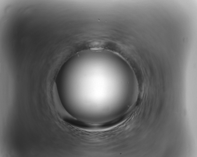 X0000088661441200706011231