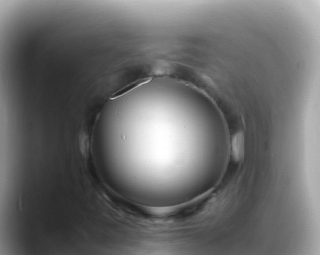 X0000088661443200706011231