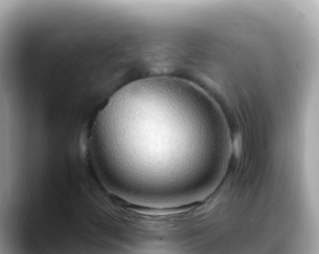 X0000088661444200706011231