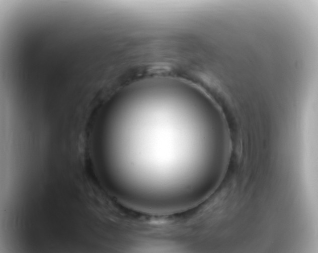 X0000088661445200706011231