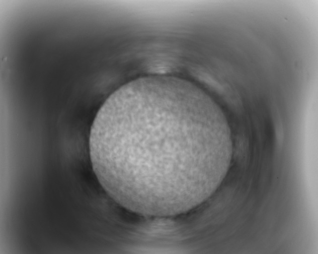 X0000088661446200706011231