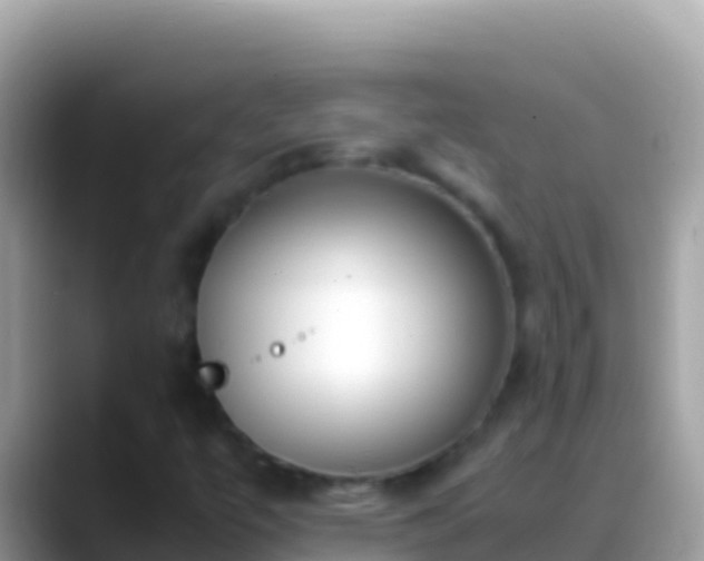 X0000088661447200706011231