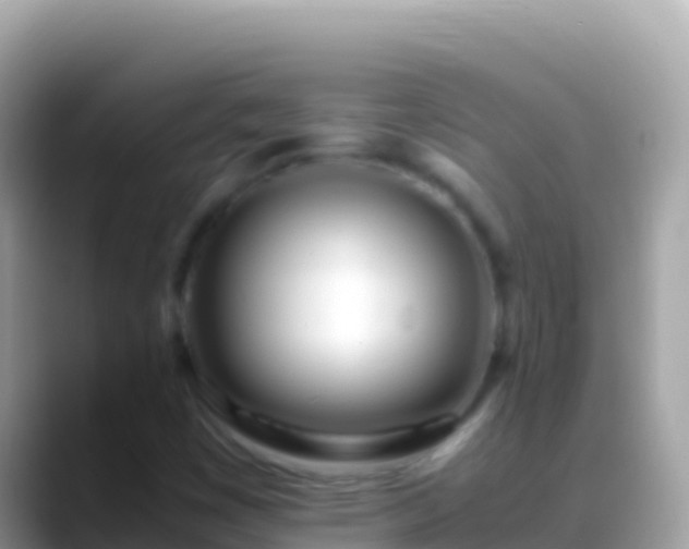 X0000088661449200706011231