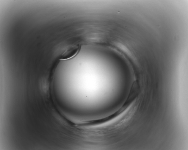 X0000088661450200706011231