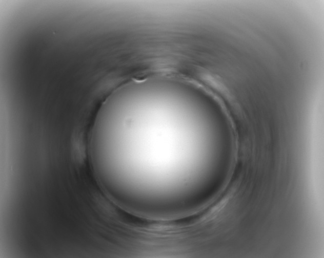 X0000088661451200706011231