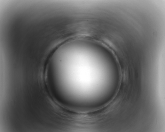 X0000088661452200706011231