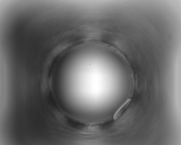 X0000088661453200706011231