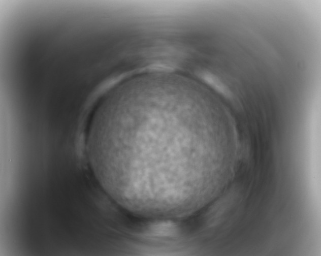 X0000088661454200706011231