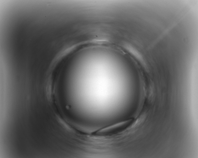 X0000088661456200706011231