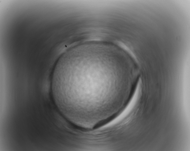 X0000088661459200706011231