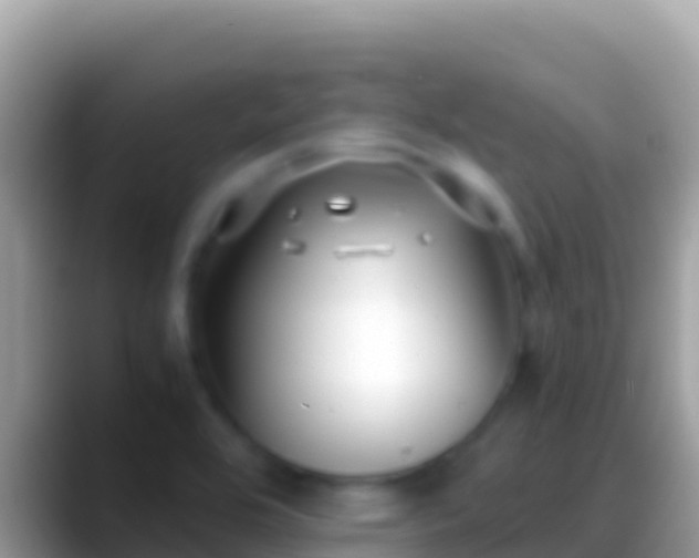 X0000088661464200706011231