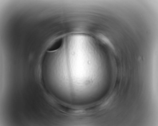 X0000088661467200706011231