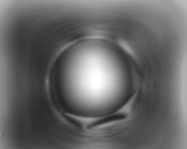 X0000088661468200706011231