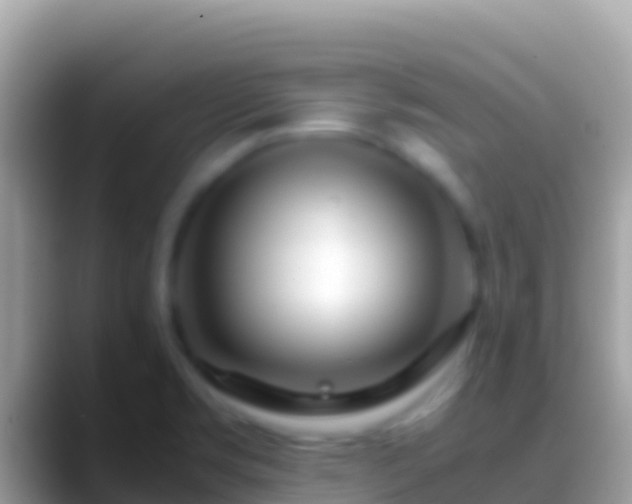 X0000088661469200706011231