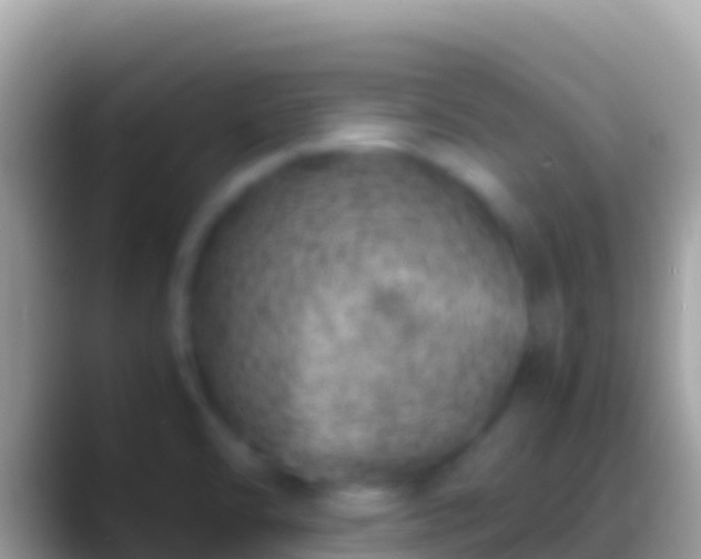 X0000088661470200706011231