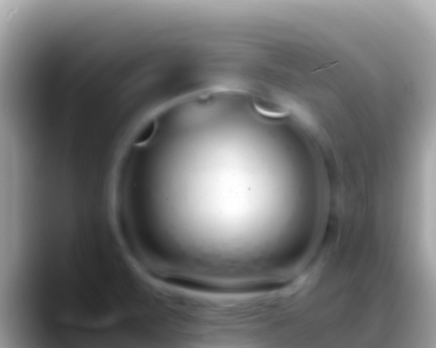 X0000088661471200706011231