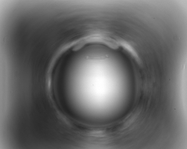 X0000088661472200706011231