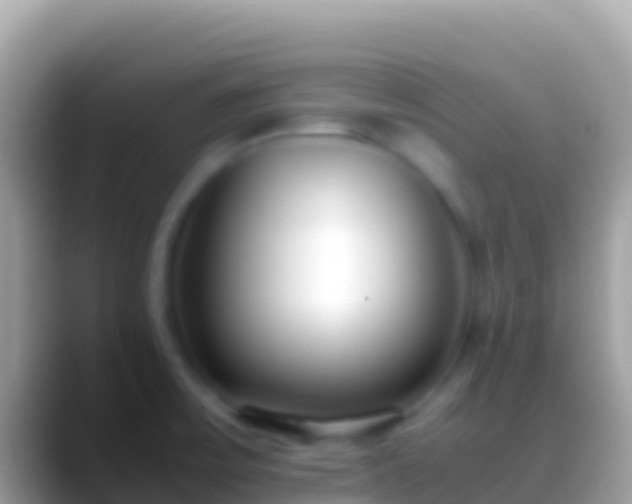 X0000088661475200706011231