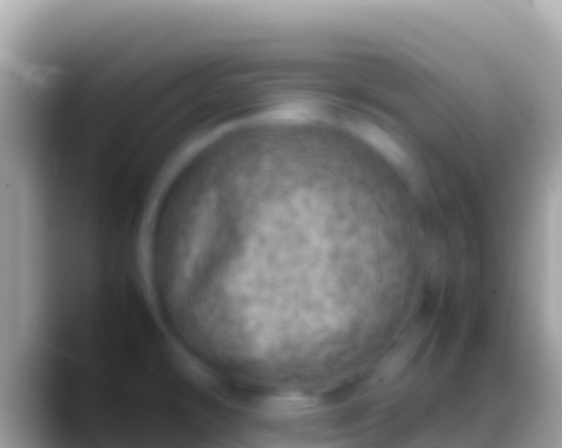 X0000088661478200706011231