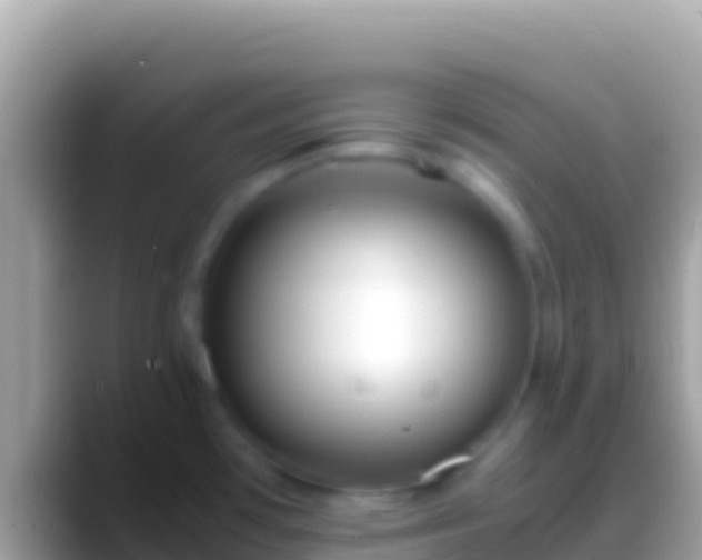 X0000088661481200706011231