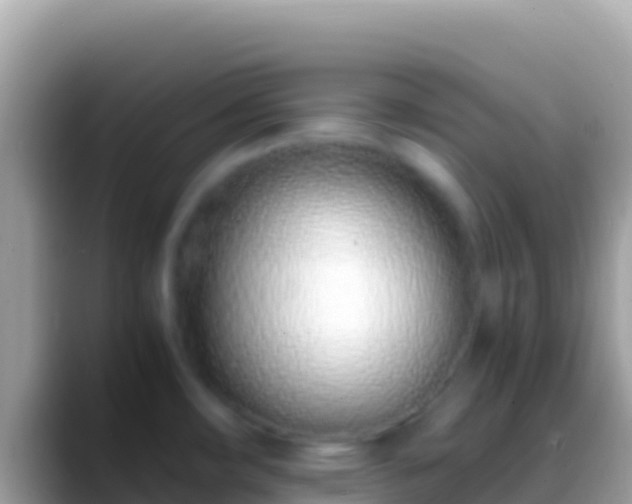 X0000088661482200706011231