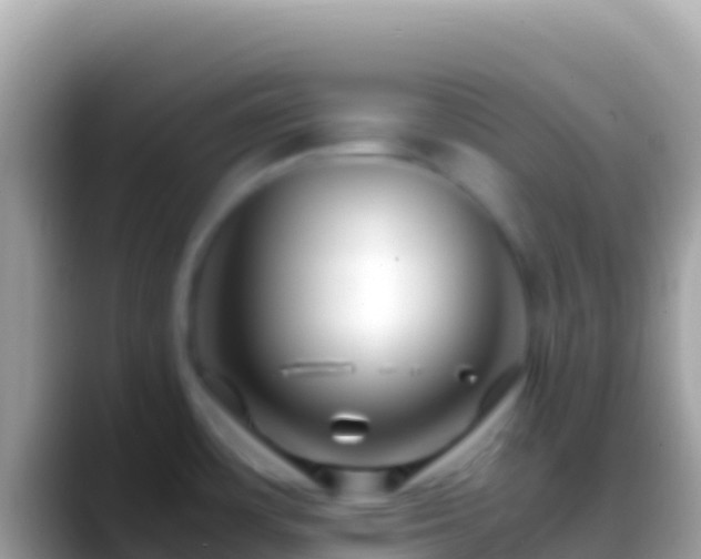 X0000088661483200706011231