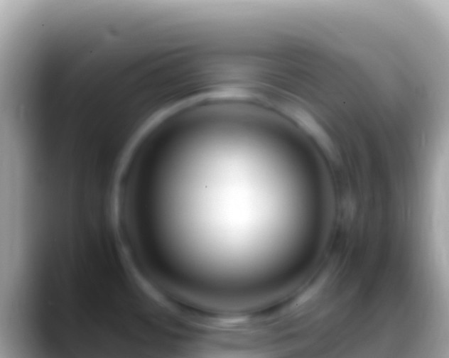 X0000088661484200706011231