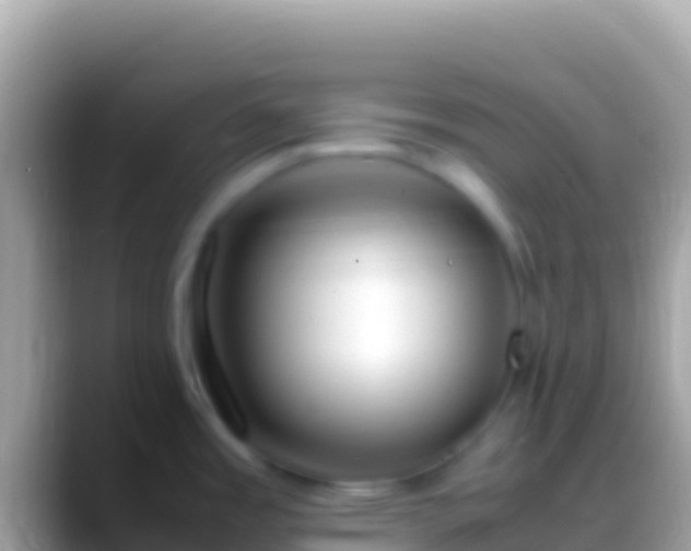 X0000088661485200706011231