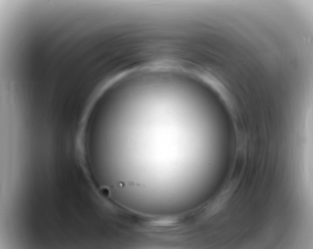 X0000088661486200706011231