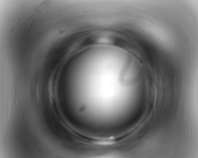 X0000088661487200706011231