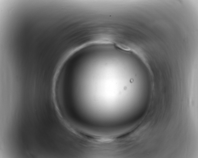 X0000088661488200706011231