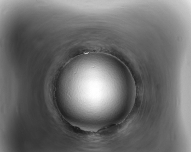 X0000088661489200706011230