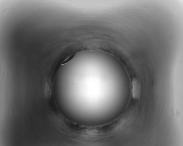 X0000088661491200706011230