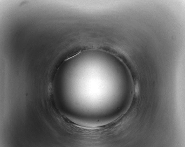 X0000088661492200706011230