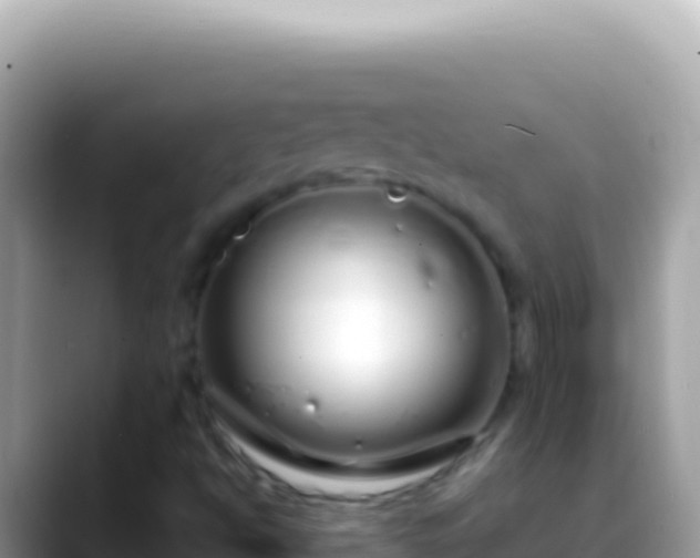 X0000088661494200706011230